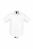 Camisa Hombre Brisbane Sols - Color Blanco