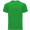 Camiseta Monaco Roly - Color Verde Helecho 226