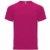 Camiseta Monaco Roly - Color Roseton 78