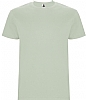 Camiseta Stafford Infantil Roly - Color Verde Mist