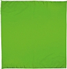 Pauelo Cuadrado Bandana Valento - Color Verde Hierba
