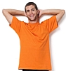 Camiseta SG Heavyweight T-Shirt