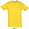 Camiseta Color Serigrafia Digital Escudo - Color Amarillo