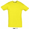Camiseta Color Serigrafia Digital DINA3 - Color Amarillo Limn