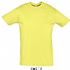Camiseta Color Serigrafia Digital DINA4 - Color Amarillo Pálido