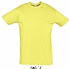 Camiseta Color Serigrafia Digital DINA3 - Color Amarillo Plido