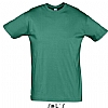 Camiseta Color Serigrafia Digital Escudo - Color Esmeralda