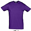 Camiseta Color Serigrafia Digital Escudo - Color Morado Oscuro