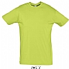 Camiseta Color Serigrafia Digital DINA3 - Color Verde Manzana
