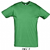 Camiseta Color Serigrafia Digital DINA3 - Color Verde Pradera