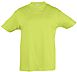 Camiseta Infantil Serigrafia Digital Escudo - Color Verde Manzana