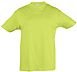 Camiseta Infantil Serigrafia Digital Escudo - Color Verde Manzana