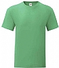 Camiseta Adulto Color Iconic Fruit Loom - Color Verde