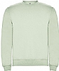 Sudadera Clasica Unisex Roly - Color Verde Menta 264