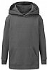 Sudadera Infantil Capucha SG - Color Grey