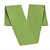 Banda Graduacion University Valento - Color Verde Manzana