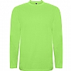 Camiseta Infantil Manga Larga Extreme Roly - Color Verde Oasis