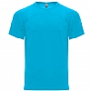 Camiseta Monaco Roly - Color Turquesa 12