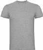 Camiseta Publicitaria Infantil Beagle Roly - Color Gris Vigor 58