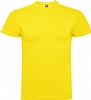 Camiseta Color Braco Roly - Color Amarillo 03