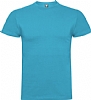 Camiseta Color Braco Roly - Color Turquesa 12