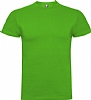 Camiseta Color Braco Roly - Color Verde Grass 83