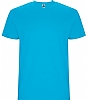 Camiseta Stafford Hombre Roly - Color Turquesa 12