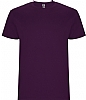 Camiseta Stafford Infantil Roly - Color Purpura 71