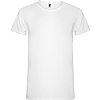 Camiseta Hombre Collie Roly - Color Blanco 01