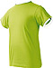 Camiseta Nath Boston - Color Pistacho/Blanco 2801