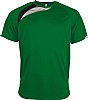 Camiseta Tecnica Equipo Linitex - Color Verde/Negro/Gris