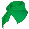 Pañuelo Festero Jaranero Roly - Color Verde Irish