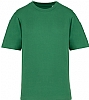 Camiseta Hombre Oversize Native Spirit - Color Green Field