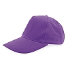 Gorra Algodon Peinado Premium Cifra - Color Lila