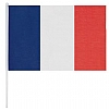 Banderin Animacion Jano Cifra - Color Francia