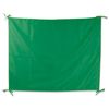 Banderas para Manifestaciones Fiesta Cifra  - Color Verde