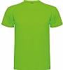 Equipacion Deportiva Barata Montecarlo - Color Lima