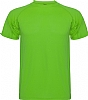 Equipacion Deportiva Barata Montecarlo - Color Verde Helecho