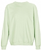 Sudadera Basica Columbia Sols - Color Verde Crema