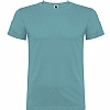 Camiseta Infantil Beagle Roly - Color Azul Dusty 267