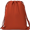 Mochila Deportiva Zorzal Roly - Color Rojo 60