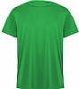 Camiseta Tecnica Daytona Roly - Color Verde Helecho 226