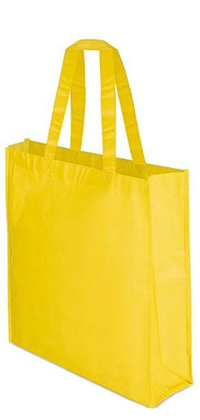 Bolsa Non Woven Laminado Fern Cifra