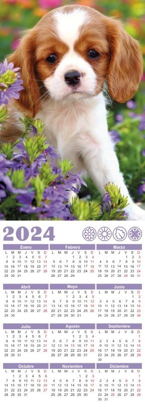 Calendario basico personalizado 11 x 31