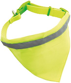 Collar Alta Visibilidad Can Cifra