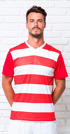 Camiseta Tecnica Celtic Jhk