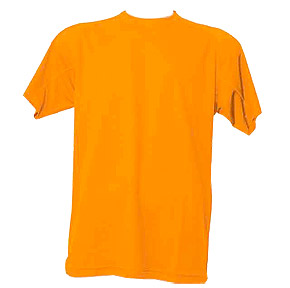 Camiseta tecnica AR1