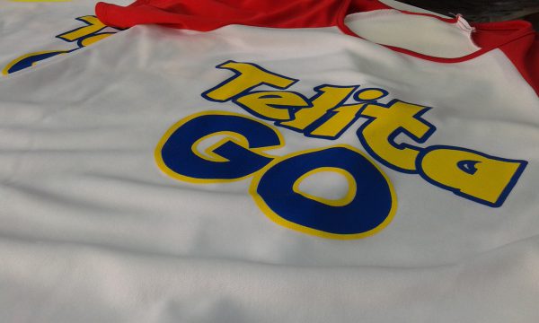 Camiseta personalizada pokemon go