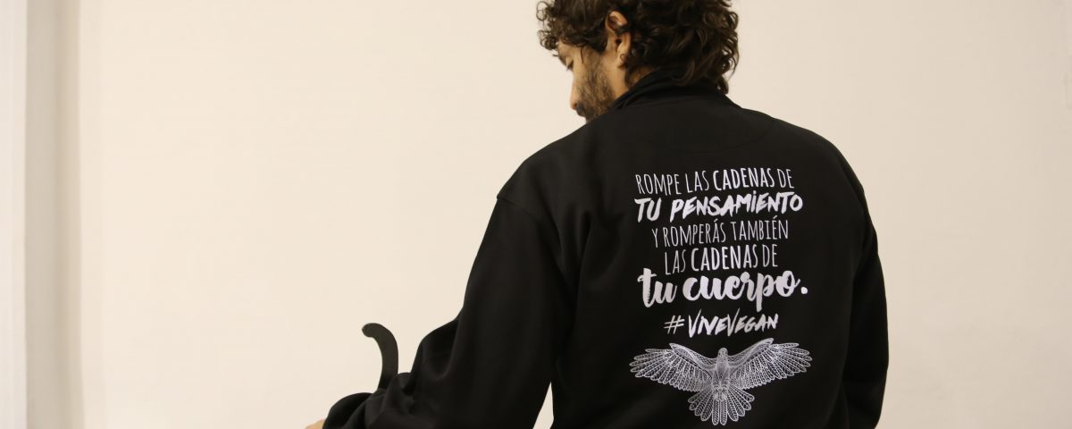 sudaderas personalizadas baratas